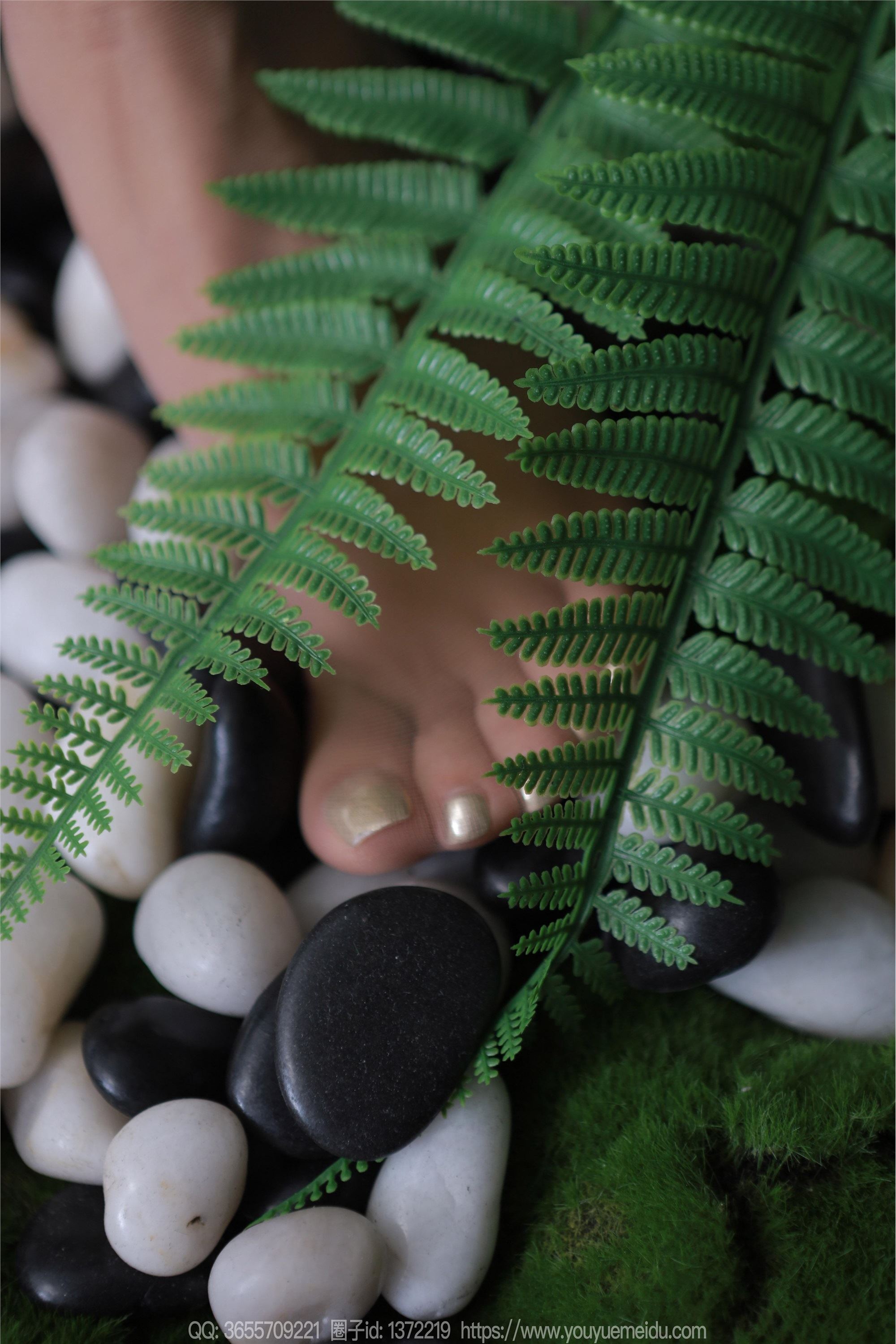 IESS异思趣向  2024.04.16 丝享家 1717 婉萍《绿野仙踪》